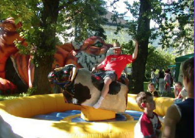 Rodeo – byk + deska surfingowa